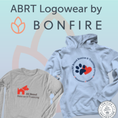 ABRT Logowear Store through Bonfire