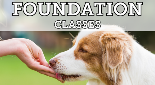 Beginner Classes